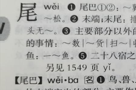 单首是这个词吗