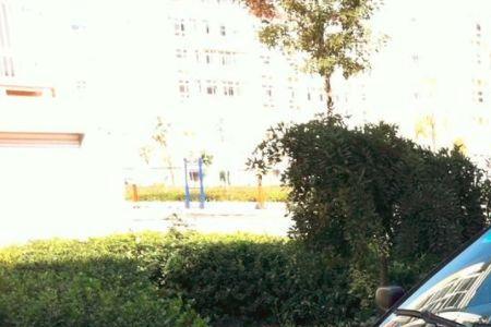奥迪100和红旗100有什么区别