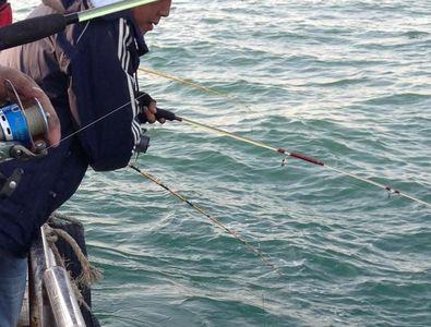 矶钓与海钓的区别