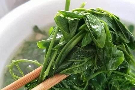 野菜怎么吃最多