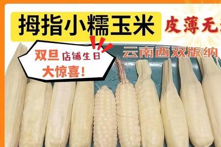 云南花糯玉米与拇指玉米的区别