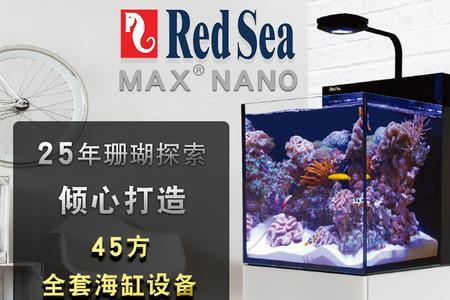 40背滤海缸需要物理过滤么