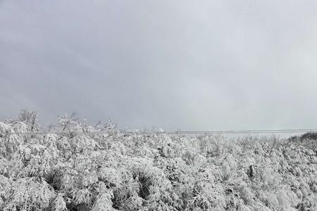 雪花落满枝头给大地披上了银装