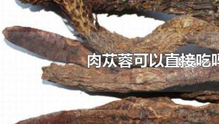 肉苁蓉年份越高养分越高吗