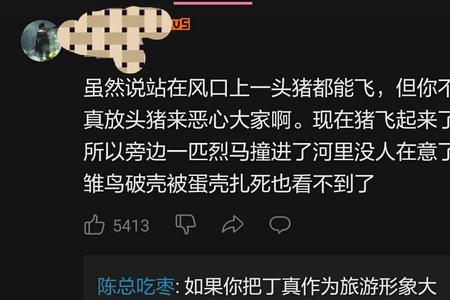 回答没有意见是什么意思