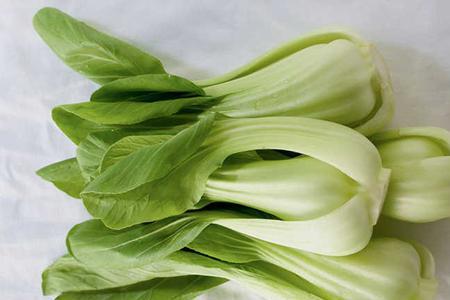花王菜和油菜的区别