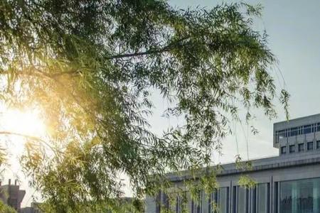 中南大学桥梁与隧道怎么样