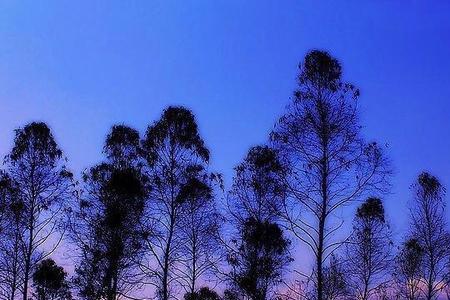 未眠的梦什么意思