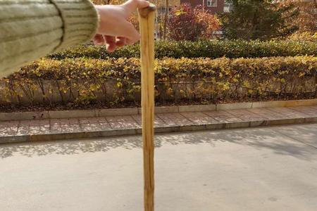 哪种六道木拐杖最好
