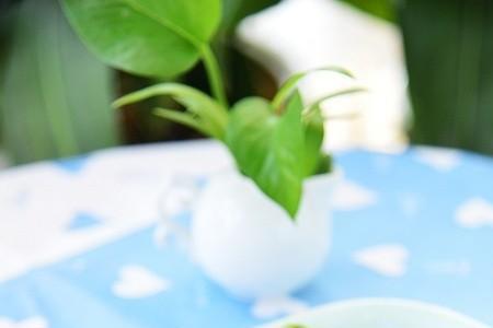 里昂烤香肠的家常做法