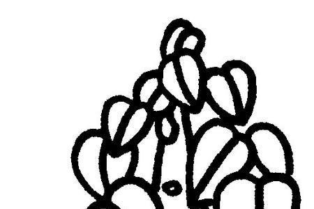 蔓多少画