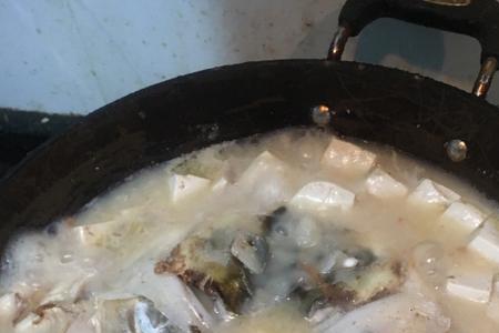 甲鱼豆腐汤的做法