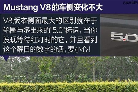 第七代mustang v8 落地价