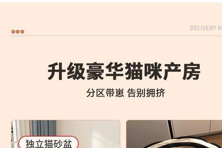 猫砂和猫窝距离多远
