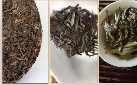 易武古树茶存在时间