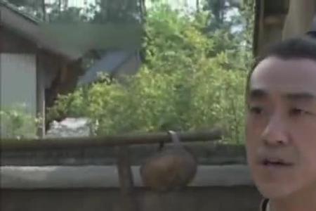 大宋提刑官和员外杀女婿第几集