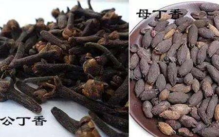 丁香是公丁香好还是母丁香好