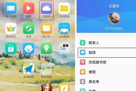 vivo安全模式关不掉怎么办