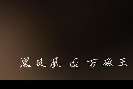 黑凤凰和万磁王多少集