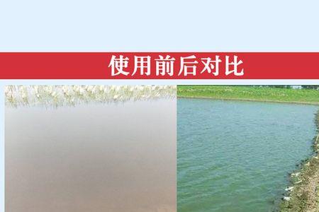 鱼塘下了硫酸铜后多久培藻