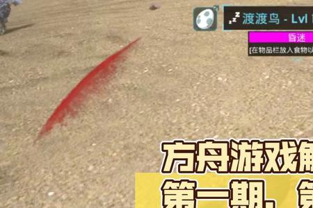 方舟生存进化乌龟吃什么饲料