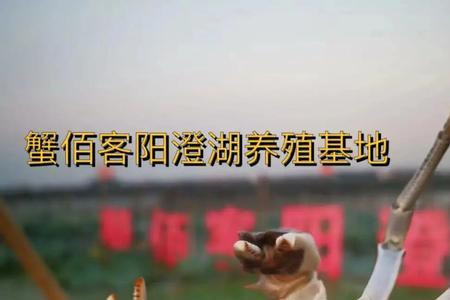 阳澄湖是江西的吗