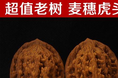 文玩青皮核桃什么时候上夹板