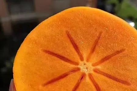 芒果脆柿子怎么存放好