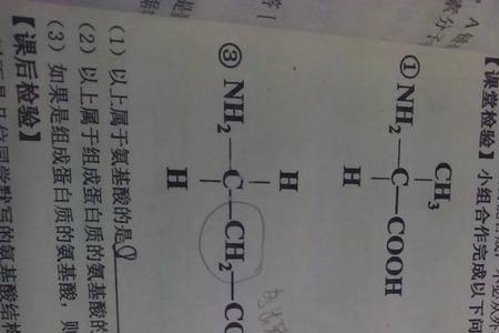 氨基酸结构中ca是什么
