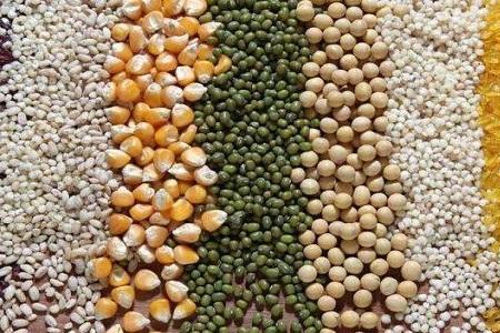个人可以大批量储存粮食吗