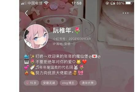 稚年是什么意思