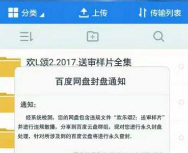 网络上踢是什么意思