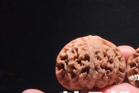 宫灯狮子头排名第几