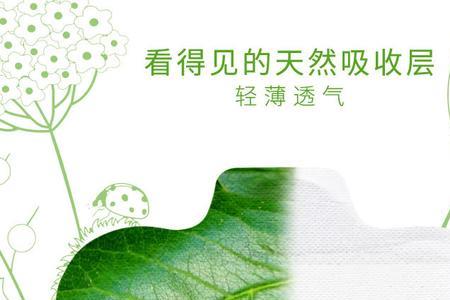 长护翼的树