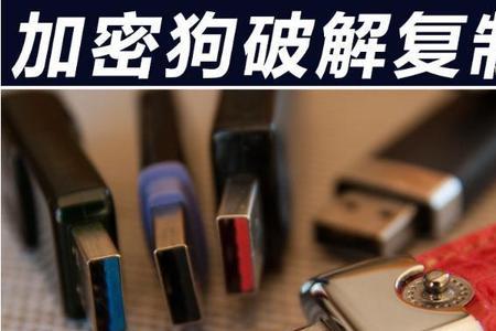 u盘狗是什么