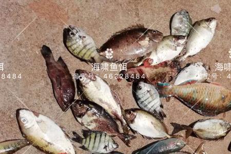 泥猛钓底还是钓浮