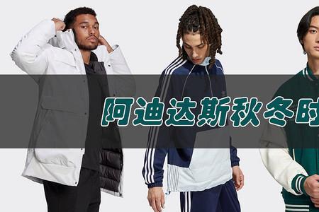 阿迪派克是什么