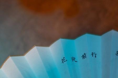 花夜前行无声落幕是讲什么的