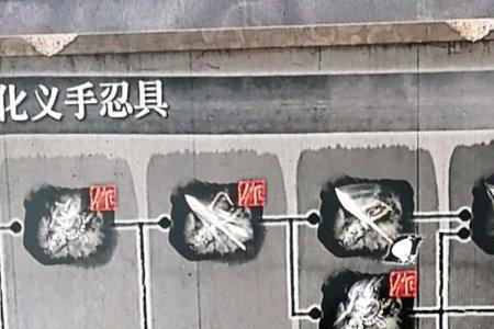 只狼凤凰紫青伞材料要哪些