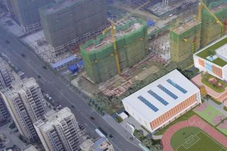 36亩小学有多大