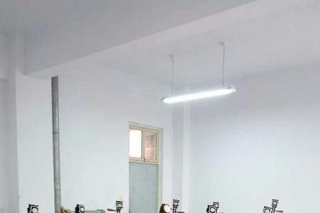 琵琶什么年龄段学合适