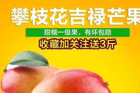 攀枝花贵妃芒果介绍宣传语