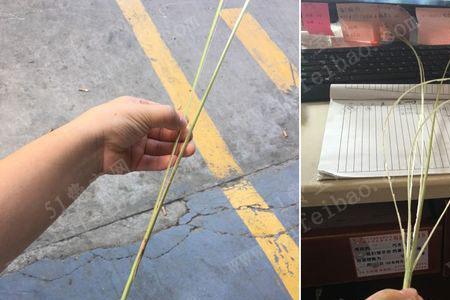 怎么用竹子制作芦苇鱼