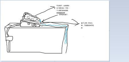 鱼缸里加矿泉水可以吗