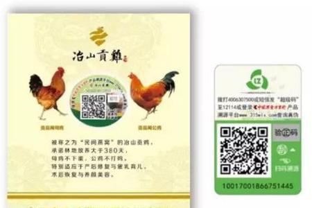 溯元是什么意思