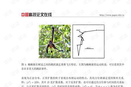 莱维定理
