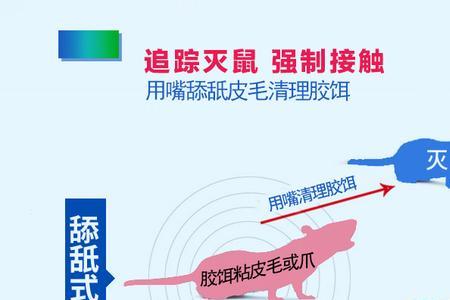 最灵的驱鼠方法