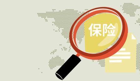 投保公司是什么意思
