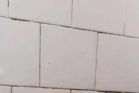家用燃气灶大火时外焰温度