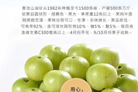油柑哪里产的最好